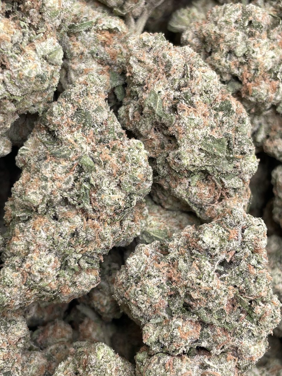 ZOAP X CANDY SHERB
